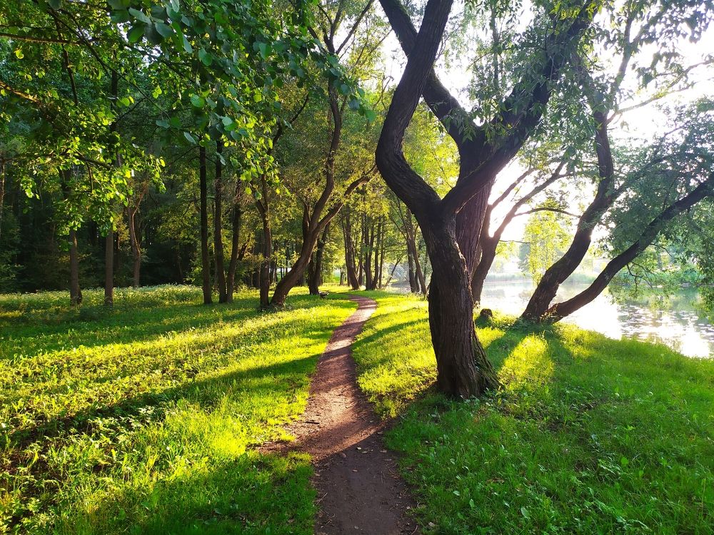 Photograph by Людмила Муравьева