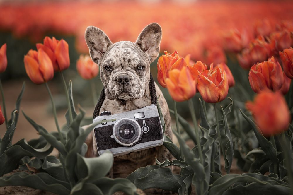 Photograph by Gertrude Goené