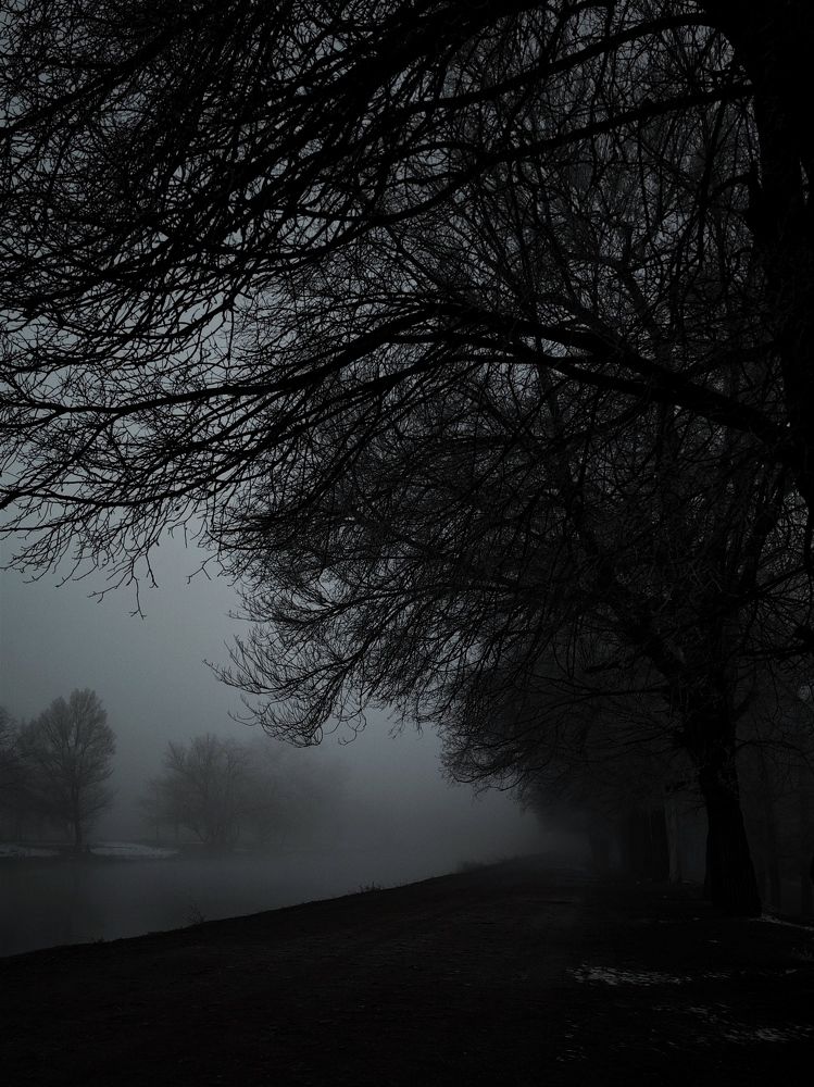 Photograph by Анна Курлова