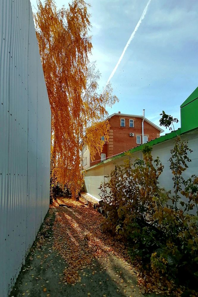 Осенний уголок.