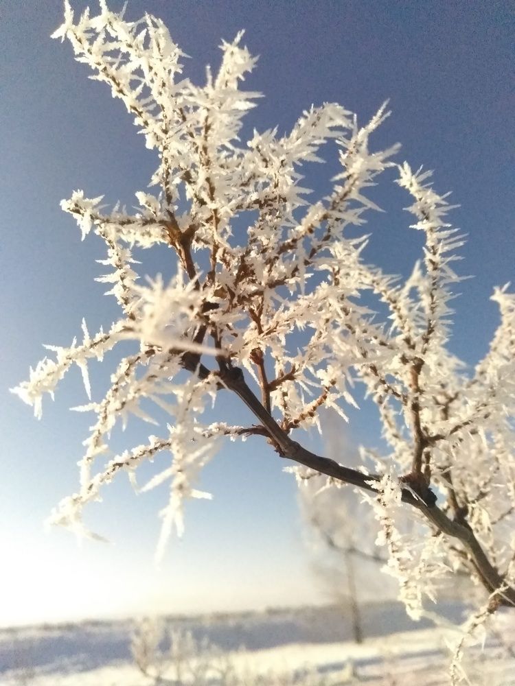 Photograph by Илья Сергеев