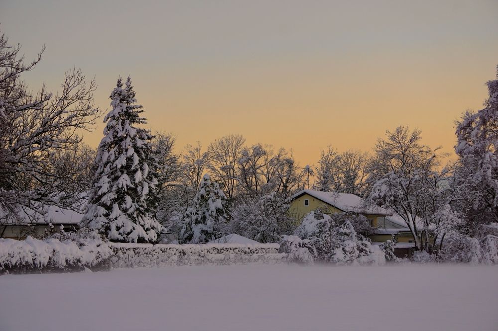 Фотография автора Liudmila Kiermeier