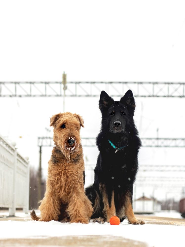 Photograph by Татьяна