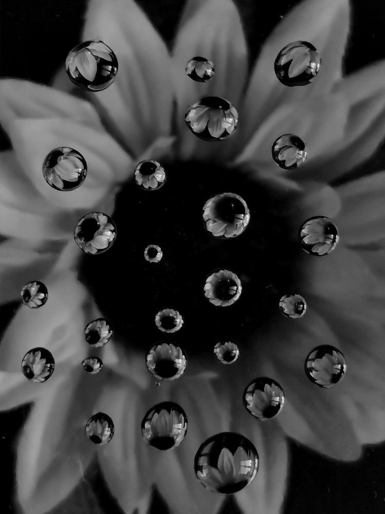 Photograph by Анна Кош