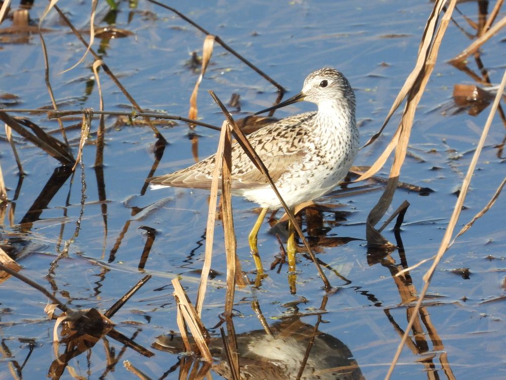Photograph by Владимир Джерихов
