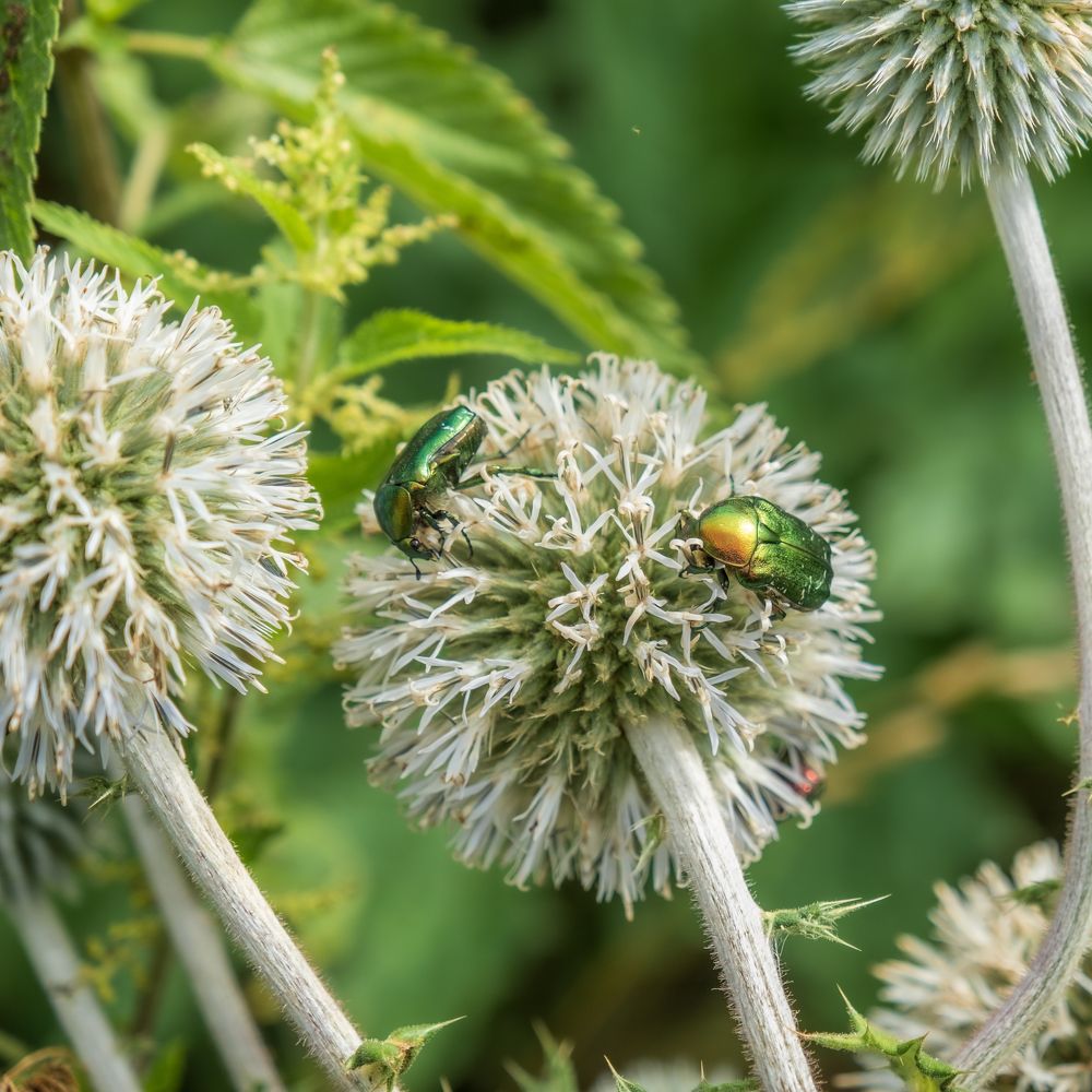 Фотография автора Андрей Арапов