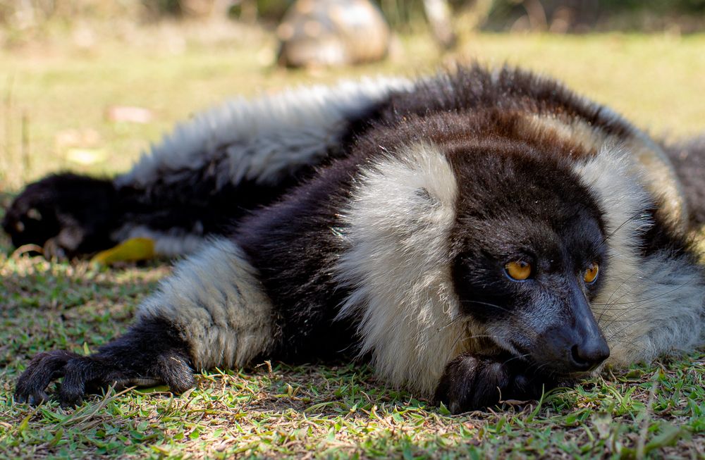 Photograph by Klimenko Tatyana
