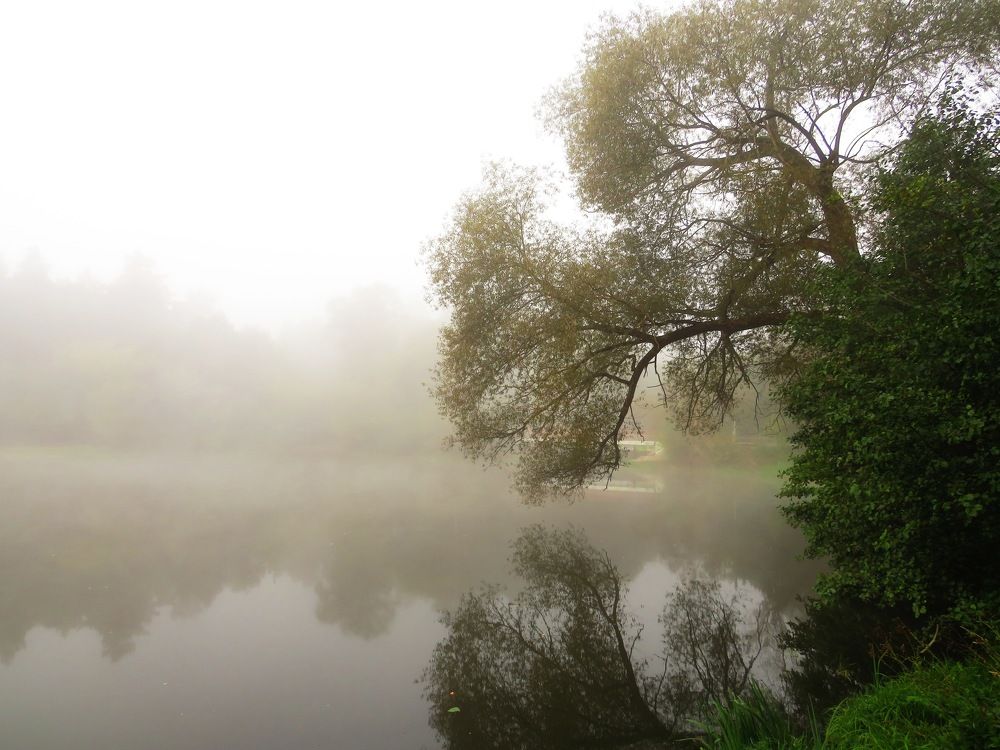 Над туманным озером