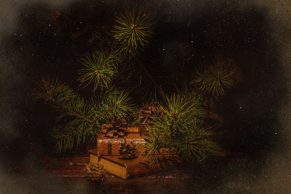 Photograph by Татьяна Козина