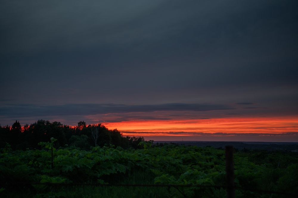 Фотография автора Екатерина Лапаева