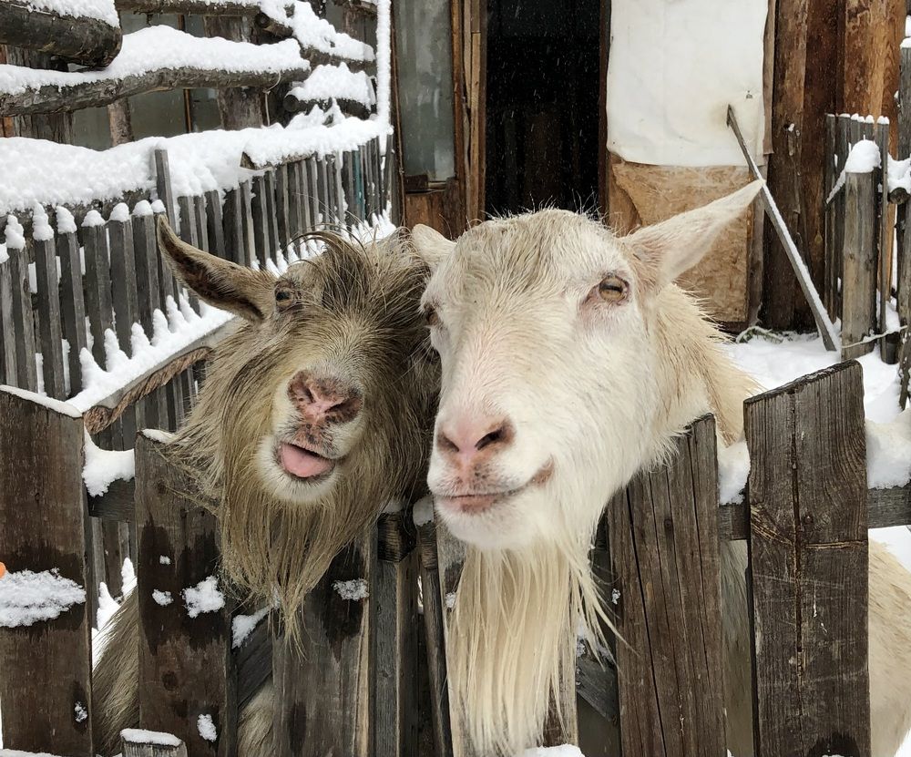 Photograph by Евгения Елисеева