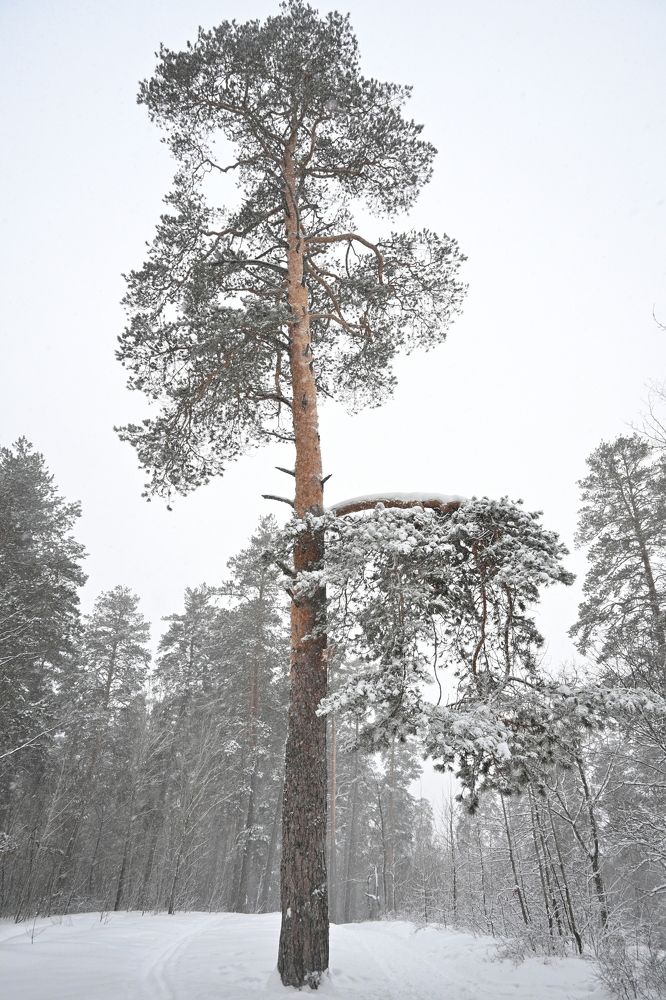 Photograph by Алексей Козлов