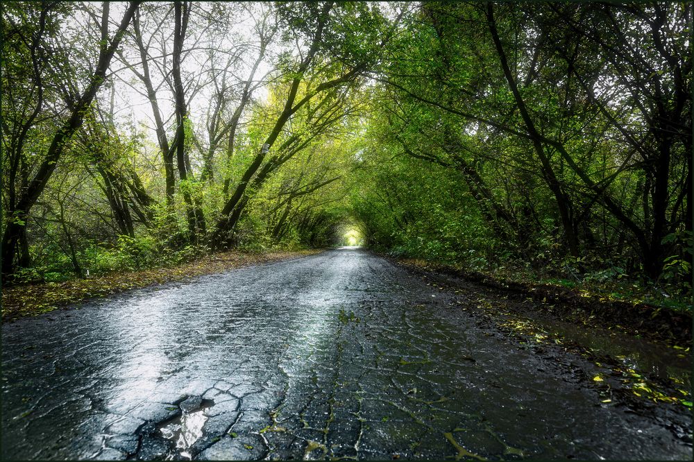 Photograph by Лев Постнов