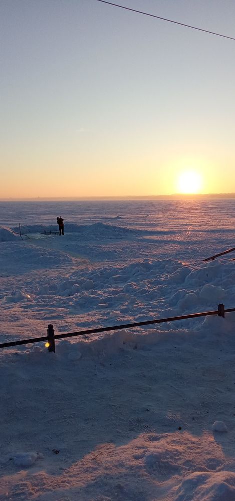 Photo #10207427