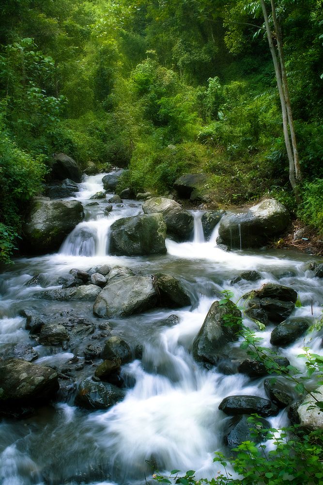 Photograph by Shouvik Datta