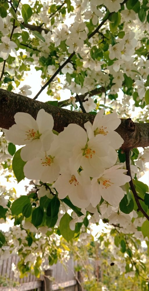 Photograph by Ксения Темникова