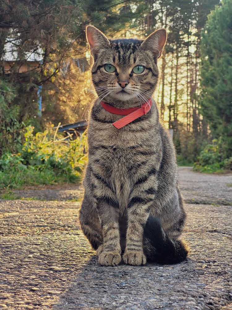 Photograph by Константин Агеев