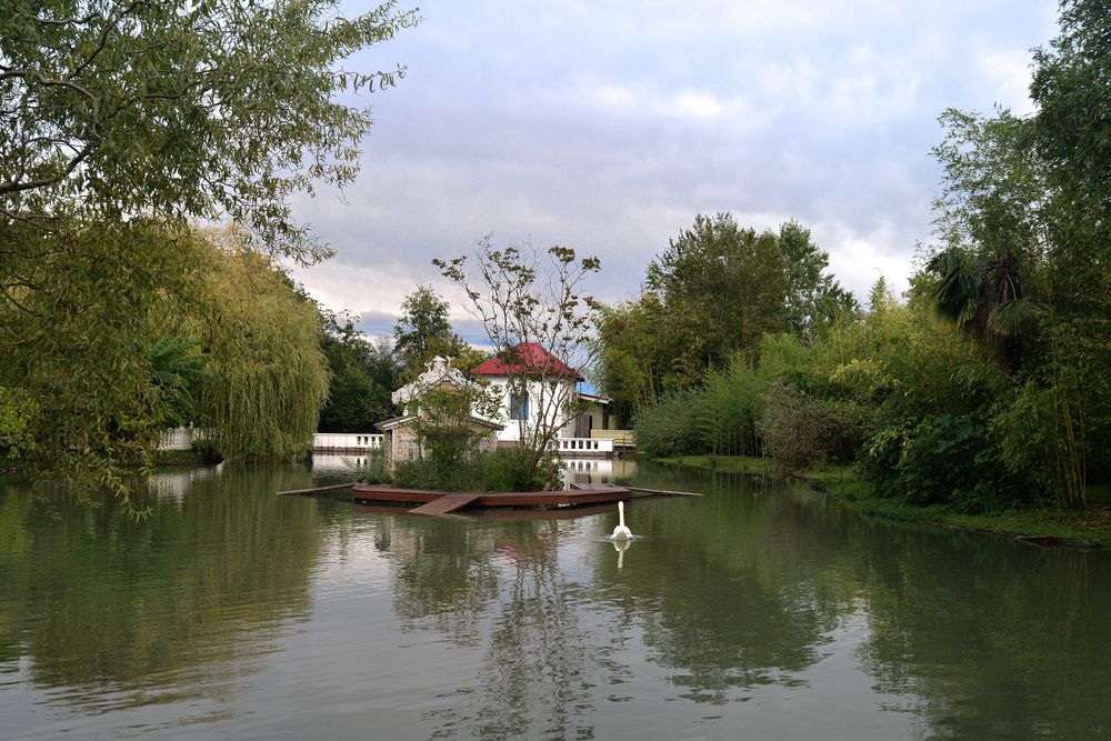 Photograph by Оксана Плугатарева