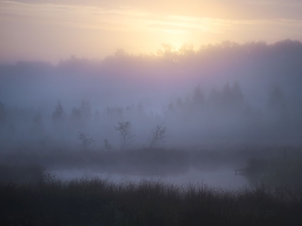 Photograph by 
