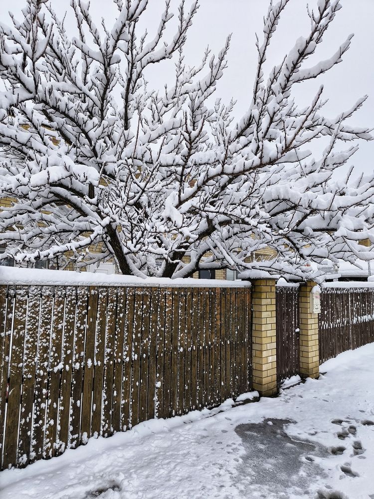 Photograph by Okcana Ryzhikh