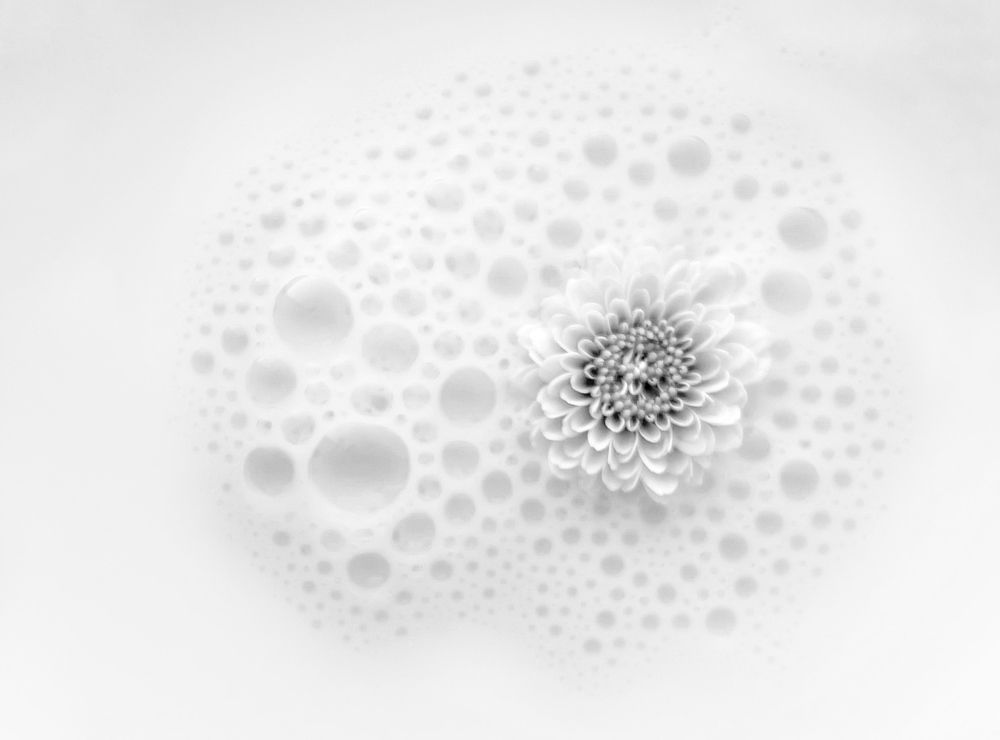 Photograph by Евгения Голубова