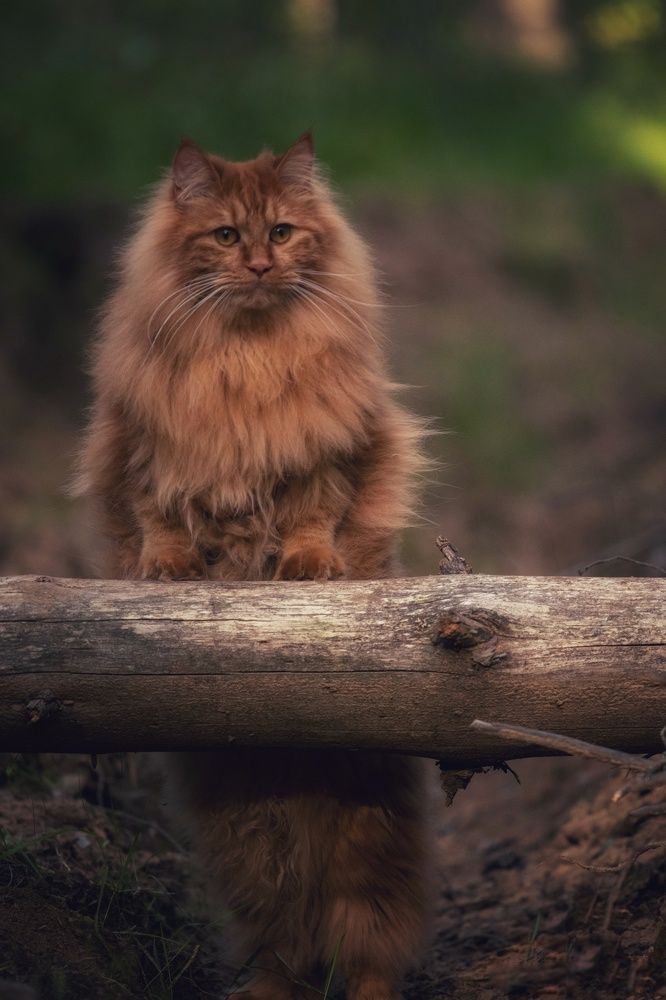 Photograph by Татьяна