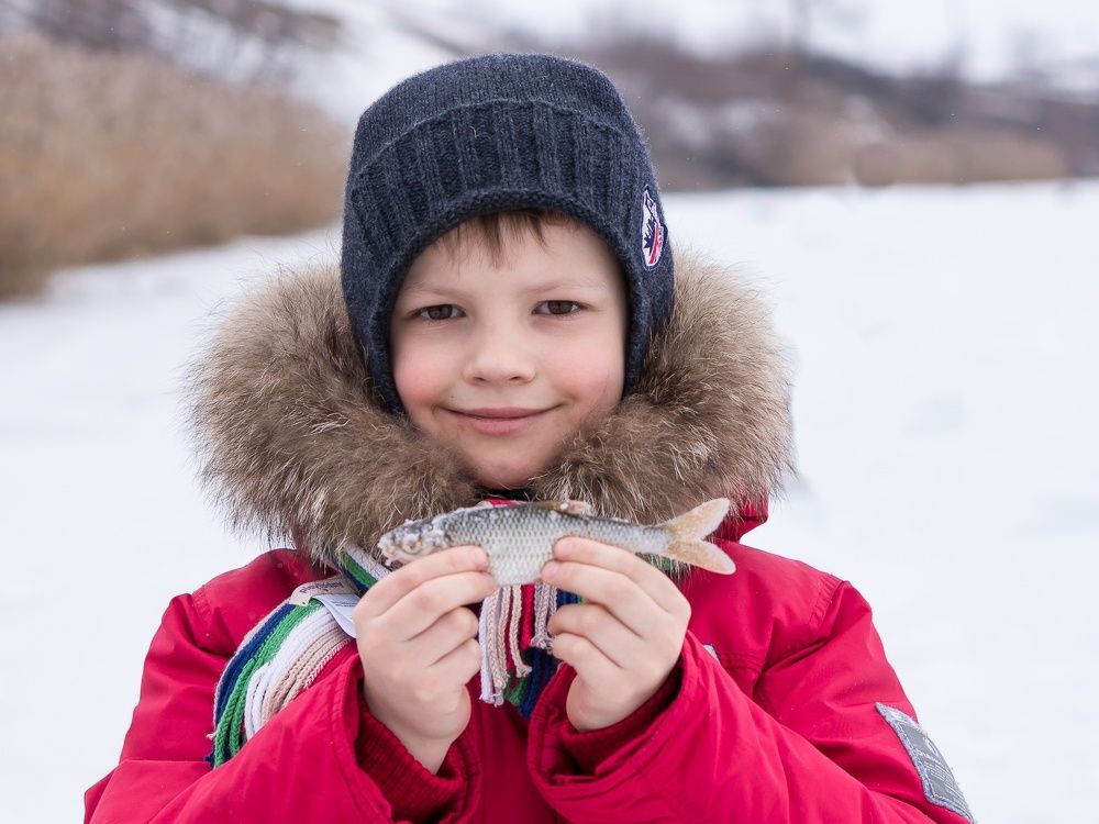 Фотография автора Николай Бологов