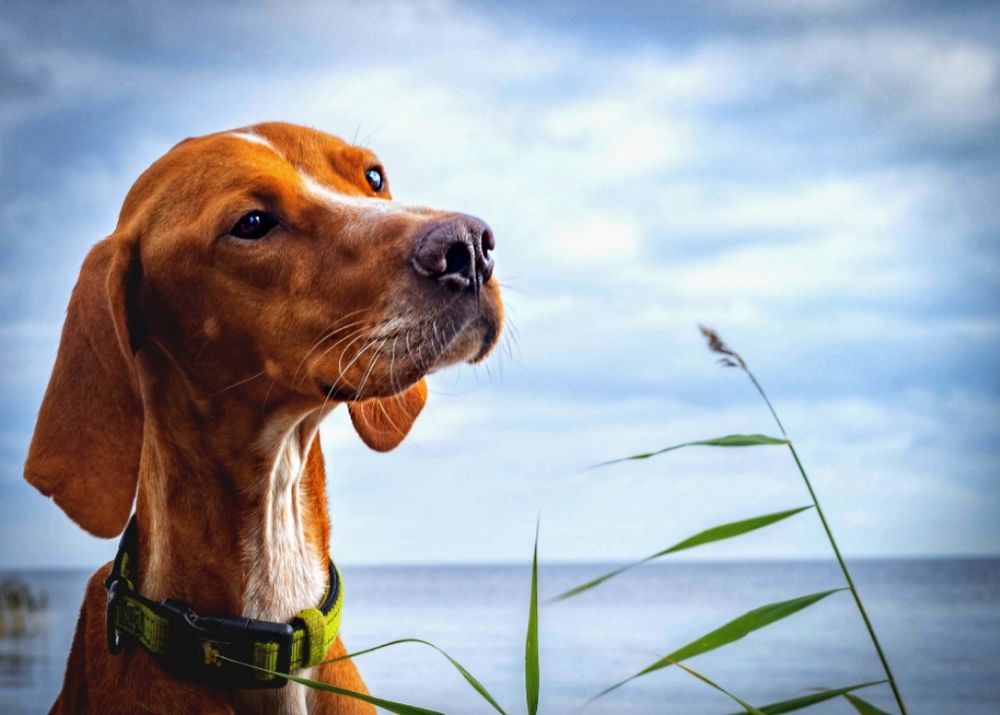 Photograph by Татьяна