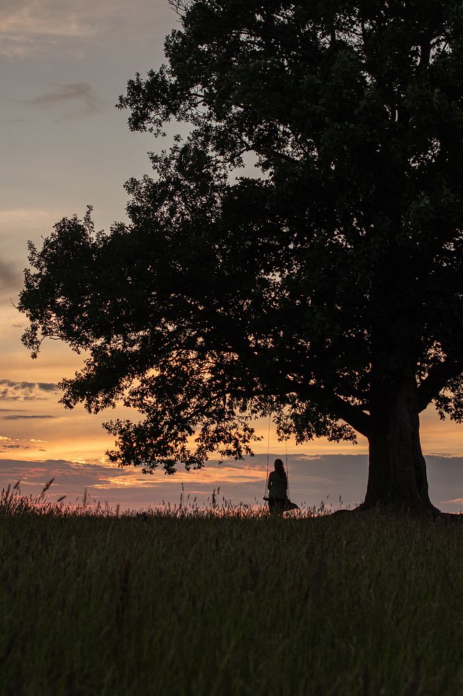 Фотография автора Светлана Дроголюбова