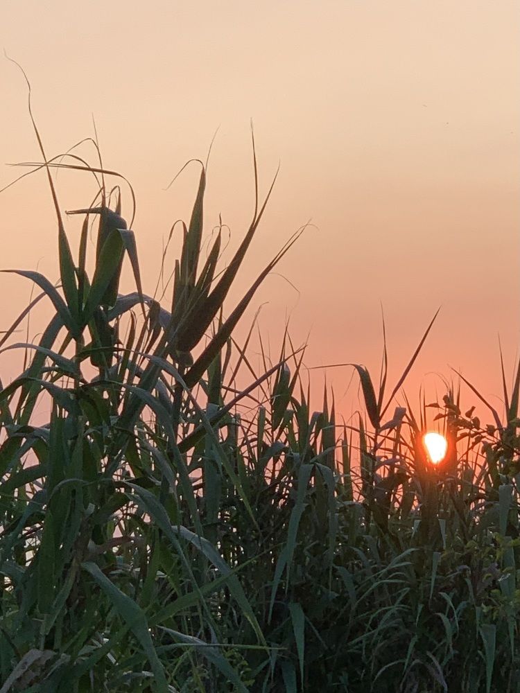 Photograph by Karolina Tutaj