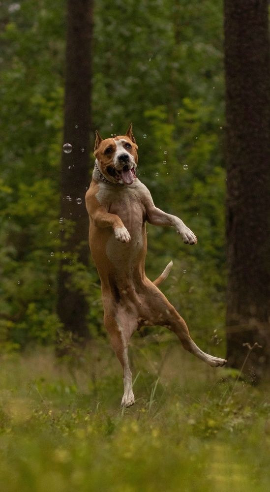 Photograph by Татьяна