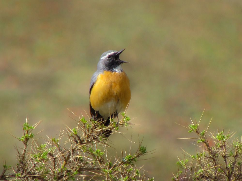 Photograph by Moein Gheysari