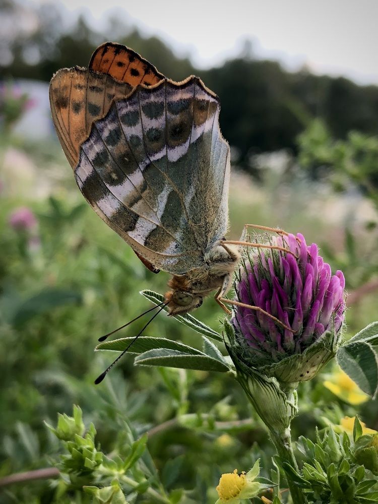 Фотография автора Евгения Елисеева
