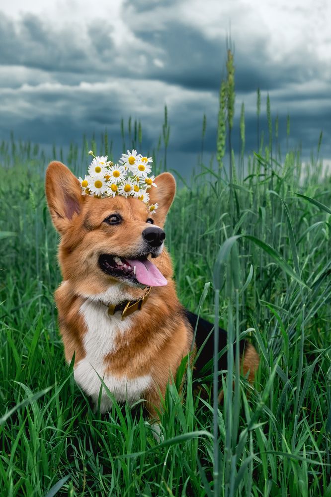 Photograph by Валерия Дурнева