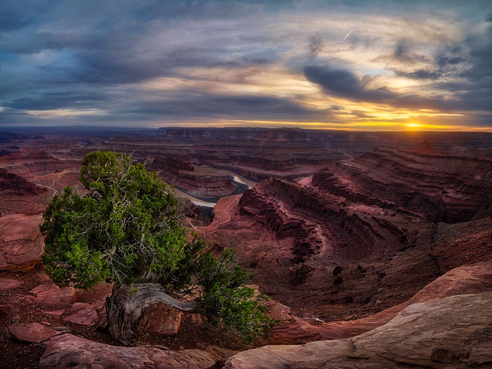 Millions of Years Tale