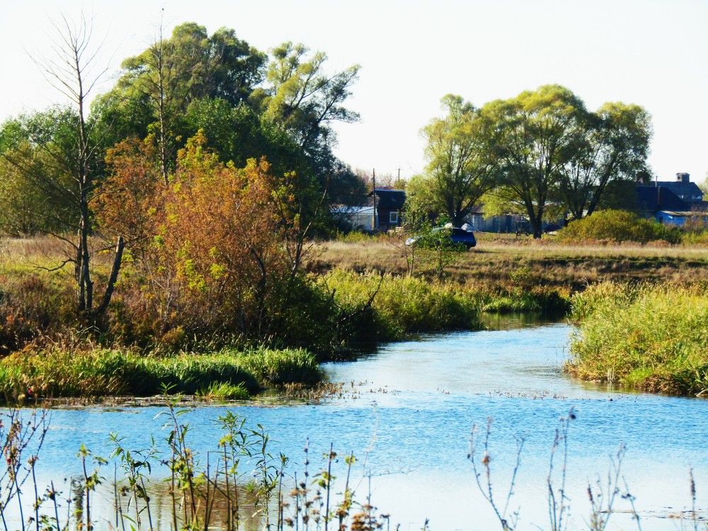 Photograph by Лариса Басова