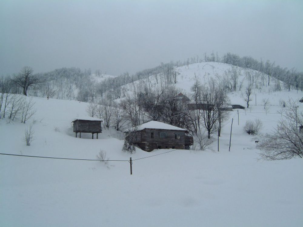 Photograph by Huseyin Mustafa Guvendag