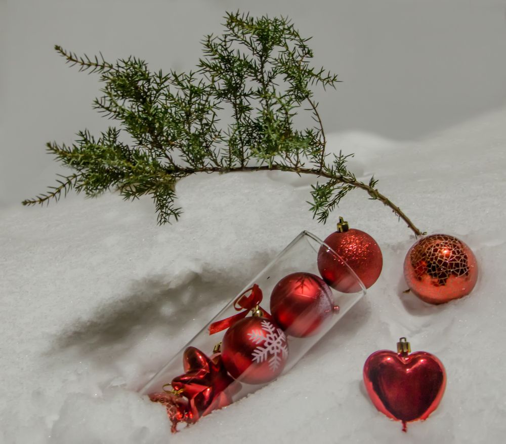 Photograph by Ольга Заповедная