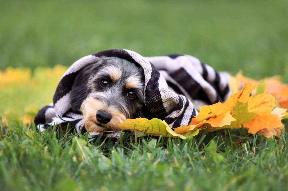 Photograph by Надежда Иванова
