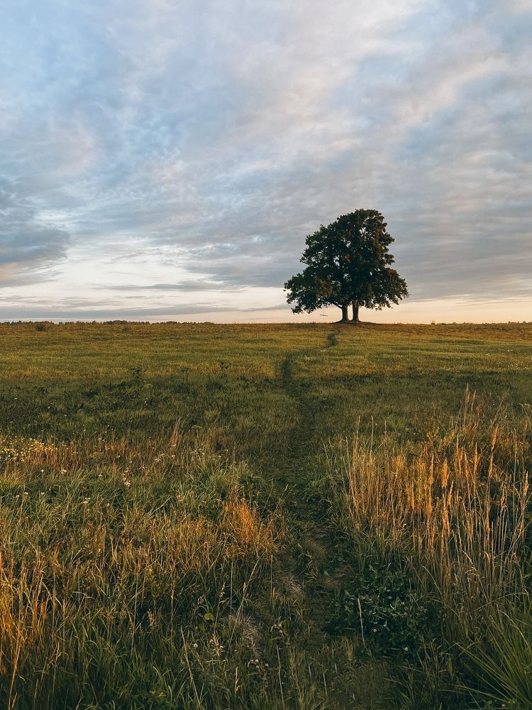 Фотография автора Ксения Крохина