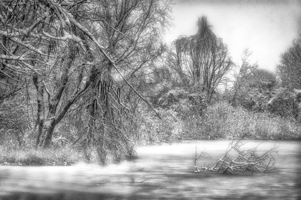 Photograph by Галина Литвинова