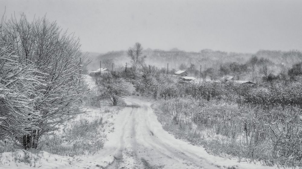 Photograph by Галина Литвинова