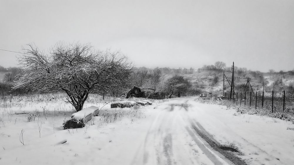 Photograph by Галина Литвинова