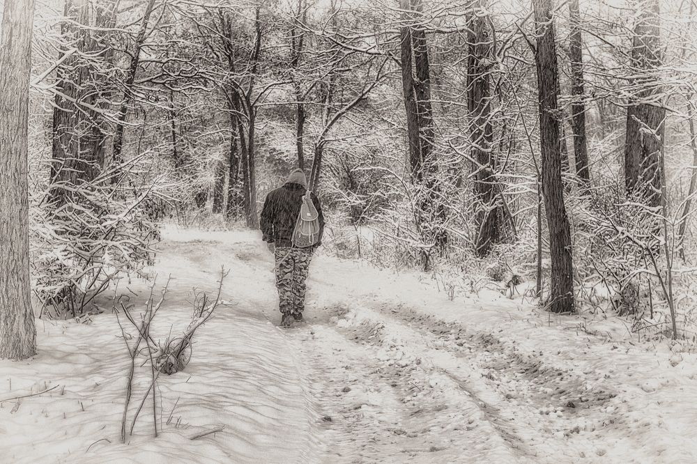 Photograph by Галина Литвинова