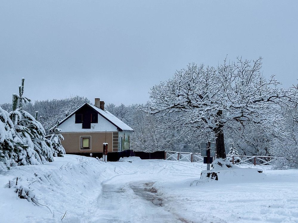 Photograph by Анастасия Соболевская