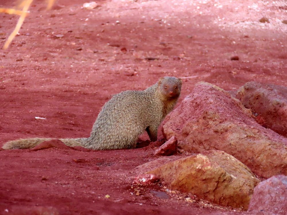 Photograph by mahboube moradalizade