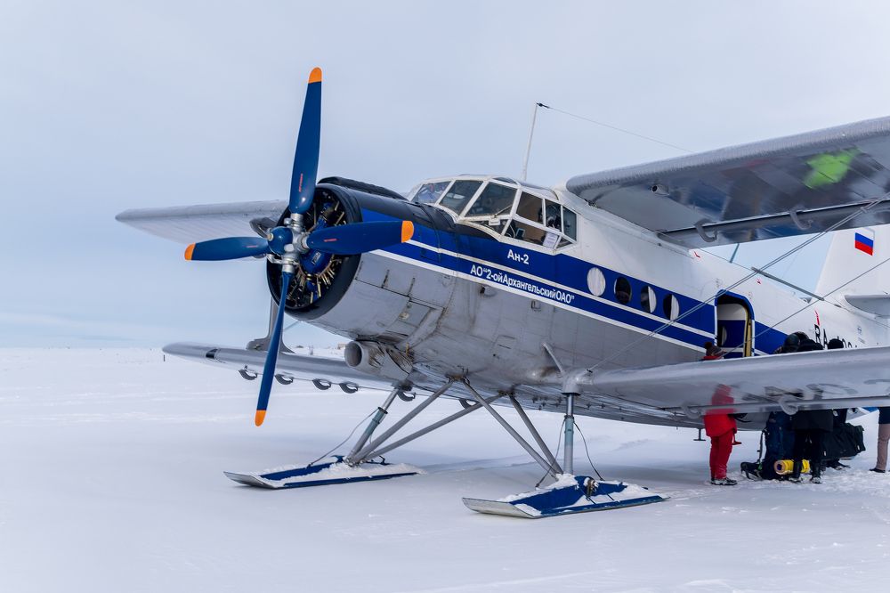 Фотография автора Мика Петров