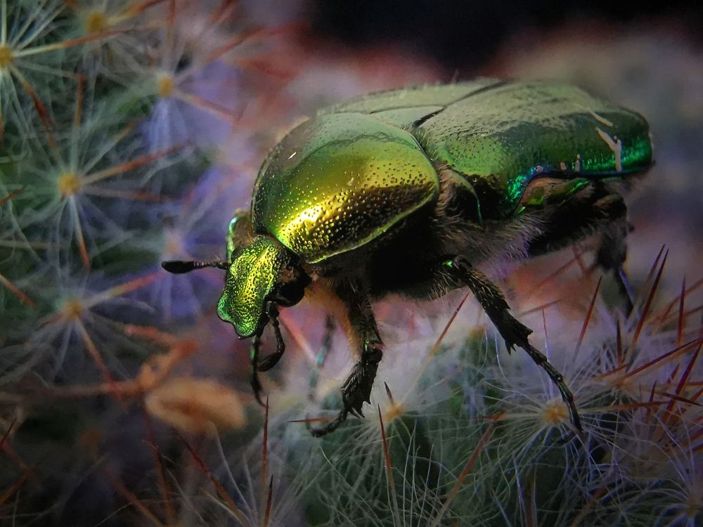 Photograph by Mariya Kolos