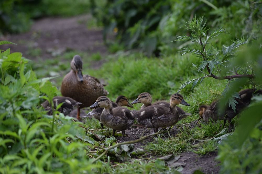 Photograph by Андрей Головин