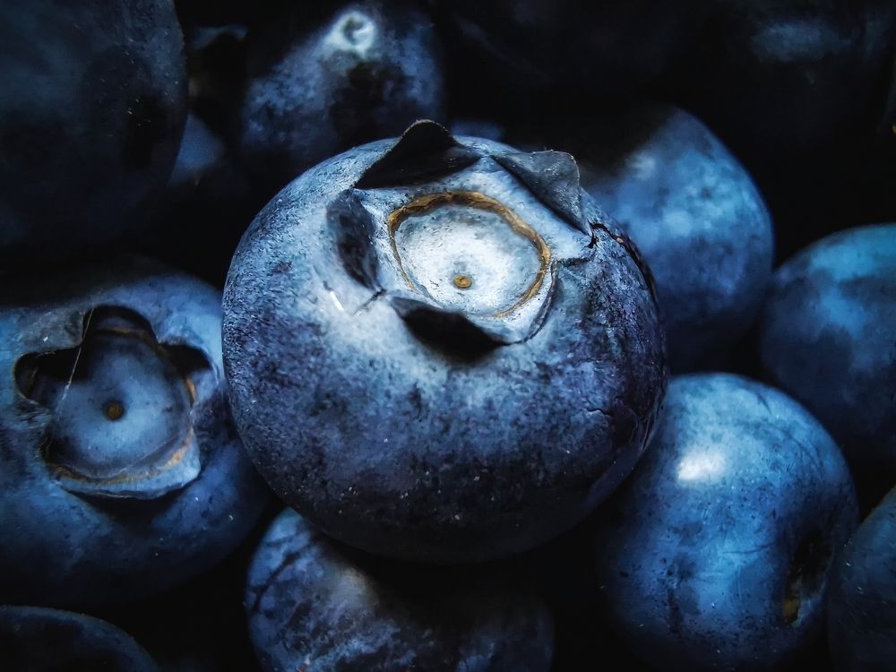 Photograph by Mariya Kolos